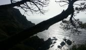 Trail Walking Banyuls-sur-Mer - Cap Peyrefite cerbère_T - Photo 3