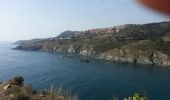 Tour Wandern Banyuls-sur-Mer - Cap Peyrefite cerbère_T - Photo 2