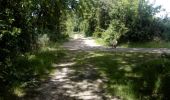 Trail Walking Martinet - martinet 1bis - Photo 17
