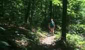 Trail Walking Monthermé - tour des 7 roches 9 juin 2014 - Photo 13