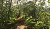 Trail Walking Monthermé - tour des 7 roches 9 juin 2014 - Photo 11