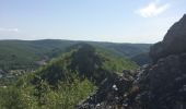 Excursión Senderismo Monthermé - tour des 7 roches 9 juin 2014 - Photo 7