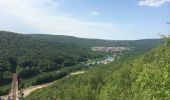 Trail Walking Monthermé - tour des 7 roches 9 juin 2014 - Photo 19