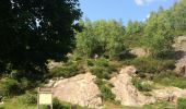 Tocht Stappen Monthermé - tour des 7 roches 9 juin 2014 - Photo 5