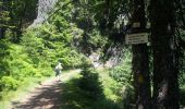 Trail Walking Le Valtin - Les Hirschsteine - Photo 3
