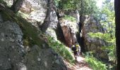 Trail Walking Le Valtin - Les Hirschsteine - Photo 11