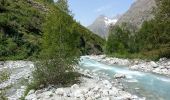 Trail Walking Saint-Christophe-en-Oisans - Oisans La Bérarde Vallée du Vénéon  - Photo 3