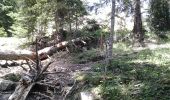 Excursión Senderismo La Bollène-Vésubie - la cime de l'apriha - Photo 1