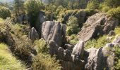 Trail Walking Viroinval - Viroinval (01) - The Roche aux Faucons (Falcons' Rock) - Photo 3