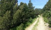 Tour Wandern Le Tech - Col de la roue la Souque_T - Photo 5