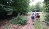 Trail Walking Aurel - ventouret - Photo 7