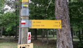 Trail Walking Aurel - ventouret - Photo 1