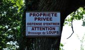 Tour Wandern Mennetou-sur-Cher - Entre forêt et manoirs, sur le chemin des Barres - Photo 7