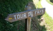 Trail Walking Furmeyer - Circuit du Fey - mine Garcine le 12-06-14 - Photo 5