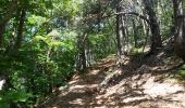 Trail Walking Furmeyer - Circuit du Fey - mine Garcine le 12-06-14 - Photo 4