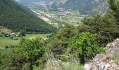 Trail Walking Furmeyer - Circuit du Fey - mine Garcine le 12-06-14 - Photo 10