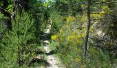 Trail Walking Furmeyer - Circuit du Fey - mine Garcine le 12-06-14 - Photo 6