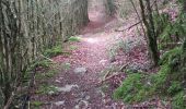 Trail Walking Bagnères-de-Bigorre - tour du castelmouly - Photo 3