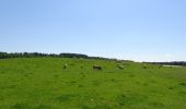 Randonnée Marche Mettet - Balade campagnarde à Biesmerée - Photo 3