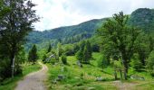 Trail Walking Stosswihr - Gaschney Schlucht Schiessroth - Photo 3