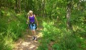Trail Nordic walking Loubeyrat - Tour du Puy Grammont - Photo 3