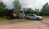 Trail Equestrian Saint-Pierre-Bois - St Pierre Bois - Ortembourg 14062014 - Photo 1