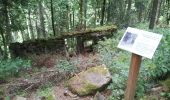 Trail Walking Hohrod - Circuit historique 1914-18 Hohrodberg - Linge - Photo 7