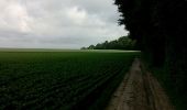 Tocht Paard Gembloers - POR - Stage 15/06/2014 - Photo 13