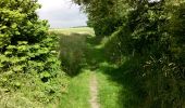 Tocht Paard Gembloers - POR - Stage 15/06/2014 - Photo 11