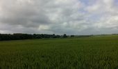 Tocht Paard Gembloers - POR - Stage 15/06/2014 - Photo 9