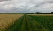 Tocht Paard Gembloers - POR - Stage 15/06/2014 - Photo 1