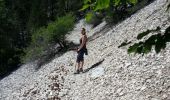 Randonnée Marche Beaumont-du-Ventoux - mont serein - Photo 4