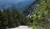 Trail Walking Beaumont-du-Ventoux - mont serein - Photo 3