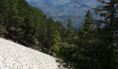 Trail Walking Beaumont-du-Ventoux - mont serein - Photo 2