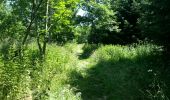Trail Walking Houyet - la lesse de bas en haut - Photo 15