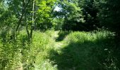 Trail Walking Houyet - la lesse de bas en haut - Photo 12