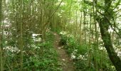 Trail Walking Houyet - la lesse de bas en haut - Photo 3