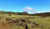 Trail Walking Le Tampon - La Réunion - Boucle des sources du Bras de Pontho par le Piton Guichard - Photo 15