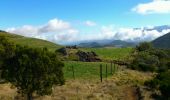 Trail Walking Le Tampon - La Réunion - Boucle des sources du Bras de Pontho par le Piton Guichard - Photo 14