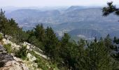 Excursión Senderismo Beaumont-du-Ventoux - Mt Serein,  Mt Ventoux,  Pas de la Frache - Photo 5