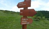 Trail Walking Roubion - Couliolle - Photo 14
