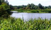 Trail Walking Bellou-en-Houlme - Le marais du Grand Hazé - Bellou en Houlme - Photo 1