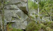 Trail Walking Fontainebleau - Les Gorges d'Apremont  en forêt de Fontainebleau  - Photo 1