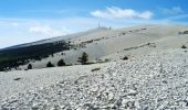 Excursión Senderismo Savoillan - La Traversée du Ventoux Est - Savoillan - Photo 2