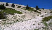 Tocht Stappen Beaumont-du-Ventoux - Crêtes et corniche nord du Mont Ventoux - Beaumont du Ventoux - Photo 2