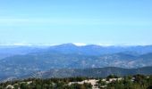 Tocht Stappen Beaumont-du-Ventoux - Crêtes et corniche nord du Mont Ventoux - Beaumont du Ventoux - Photo 1