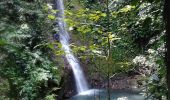 Trail Walking Lamentin - Cascade de Bois Banane - Ravine Chaude - Photo 3