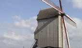 Randonnée Cheval Oudezeele - La ronde des moulins à vent - Oudezeele - Photo 1