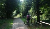 Trail Mountain bike Verzy - Autour des Faux de Verzy - Verzy - Photo 1