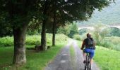 Excursión Bici de montaña Rocroi - Révin - Dames de Meuse - Anchamps - Photo 2